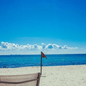 Meet your Posher, Loretta